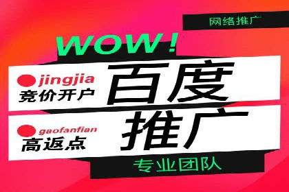 百度SEO推广公司案例精选：揭秘关键词优化策略